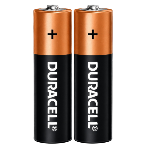 Pilha Alcalina Duracell AA com 2 Unidades