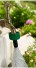 Torneira de Jardim Curta Iguatemi 1/2" – 3/4"