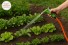 Esguicho para Jardim com Conector e Bico de Metal 1/2” – Western Garden