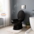Assento Sanitário Almofadado Preto Astra