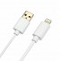 Cabo USB Iphone 2metros